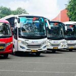 Macam Macam Karoseri Bus di Indonesia